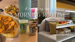 الاستيقاظ مبكراً: 5AM MORNING ROUTINE تأثيث غرفة المعيشه ، التسوق في الدانوب ، منظمات للمطبخ 🛒🛍️🛋️🏠