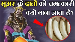 रावण के अनुसार सूअर के दांत पहनने से होते हैं ये 10 चमत्कार ! | Vatu Tips \u0026 Ravan