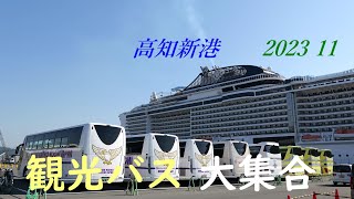 客船 MSCベリッシマ 観光バス大集合 高知新港 2023 11