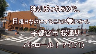 独りぼっち５０代、日曜日なのにすることが無いので、宇都宮駅市 桜通り パトロール！？（1/1）