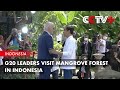 G20 Leaders Visit Mangrove Forest in Indonesia