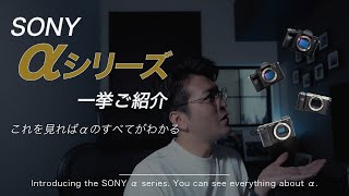 【保存版】SONY αシリーズの購入を検討している人必見！ラインナップと位置付け