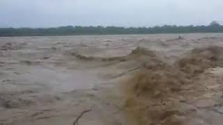 चितवनको राप्ती नदीमा आएको बाढीले पर्यटकीय क्षेत्र सौराहा प्रभाबित । Sauraha after rainfall #sauraha