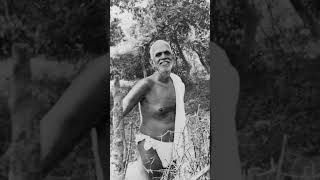 Chaganthi kotheshewar Rao garu about Ramanana Maharshi