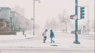 到达温哥华的第一天就下雪！此生首次见到飘雪！我的天！