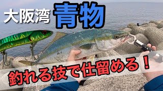 【ショアジギング】某人工島で青物回遊中⁉︎最強ルアーの新たな釣り方で青物が狂う！