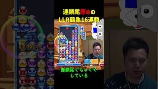 【とこぷよ】連鎖尾厚めのLLR鶴亀16連鎖【ぷよぷよeスポーツ】#Shorts