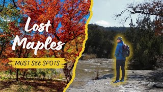 Don’t visit Lost Maples State Park Until Watching This!