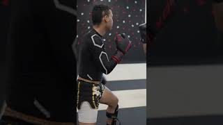 Muay Thai vs Taekwondo Blackbelt (3rd Degree)
