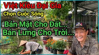 Việt kiều Đại Gia , Về Việt Nam Sống , Chọn Vùng Nông Thôn , Lao Động Chân Tay, Chăn Nuôi Trồng Tỉa