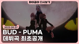 🤎 [9.7] 빕어님 아이돌 프로젝트 BUD 'PUMA' 공개한 날 (2부) - 마이곰이 다시보기