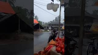 বর্ষা বিকেল🌧️⛈️🌩️#viral #tiktok #shortvideo #youtubeshorts #বৃষ্টি #বর্ষার #বর্ষাকাল #বর্ষা