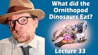 What did the Ornithopod Dinosaurs Eat?