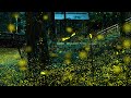 satosatoさん 内尾神社のヒメボタル　fireflies at uchio shrine