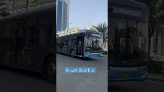Kuwait Blue Bus #shortsvideo #shortvideo #shorts #short