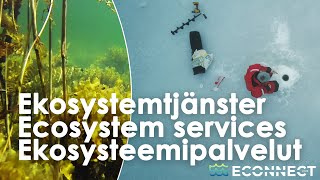 Ekosystemtjänster