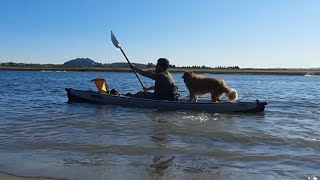 SEAEAGLE RAZORLITE 393 review (it's dog friendly🐕)