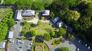 道の駅 花の三聖苑伊豆松崎【温泉サイコーーーー】