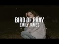 Emily James - Bird of Prey (Testo / Lyrics)