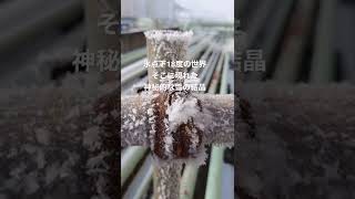 【極寒の北海道】♯shorts♯溶けるまで見ていたい自然の芸術を撮影してみた♯雪の結晶♯北海道の冬♯雪国の世界♯大雪♯氷点下の世界♯自然の芸術♯自然の神秘