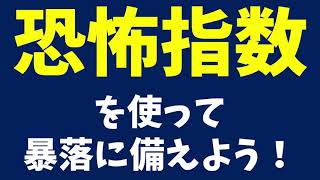 【株式投資】恐怖指数を使って暴落に備えよう！【VIX】【日経VI】