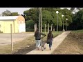 paseo del estudiante pasaje leloir s nº parquemar miramar 2014 07 02 340