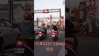 臺南市中州文賢路二段平交道#角落鐵道所#shorts版       