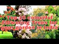 Top 10 colourful Flowering Trees for your garden in India