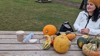 The Pop Up Farm, Pumpkin Pitch , St Albans, Harpenden, Hertfordshire, United Kingdom, Half term