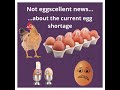 shortage of eggs