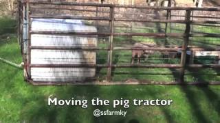 Pig Tractor