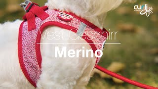 curli Werbespot Vest Geschirr Merino