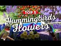 🌸🐦 Top 5 FLOWERS That Will TURN Your Garden Into A Hummingbird HAVEN! 🤯