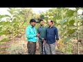 सागवन शेती लाखो रुपयाचे उत्पन्न sagwan farm navkisan bio plantic ltd aggriculture sagwansheti