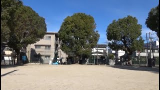 大宮第二公園と大宮第一公園　（広島市西区　2020.1.18）