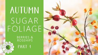 Autumn Sugar Foliage | Berries & Rosehips