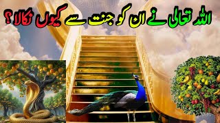 Mor ko Jannat se kyon nikala gaya | Why did Allah remove the peacock and the snake from Paradise 🔥