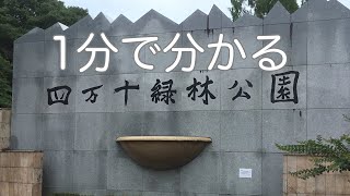 #四万十緑林公園　車中泊　高知県　四万十町　お風呂　温泉　買い物　野宿　無料キャンプ場　#179