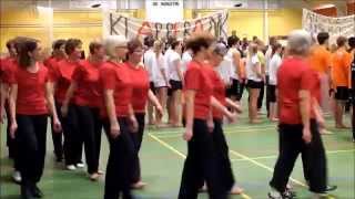 Indmarch Gymnastikopvisning AIF d. 22.03.14.