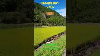 JAPAN 🇯🇵 熊本県水俣市くぎの 『田園』