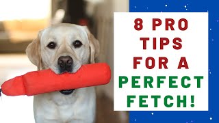 How To Train ANY dog to Fetch PERFECTLY!! (Part II)