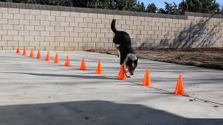 Just Jumpy