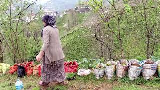 kuş sesleri doğanın kendi sesi fideleri mi diktim