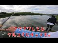 ハネモノの最高峰！ダイバゼルは超優秀でした♪【バス釣り】