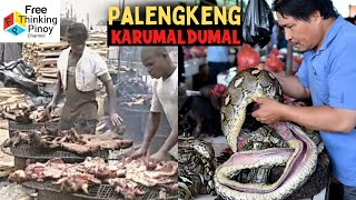 Ito Pala ang Karne ng mga WILD ANIMALS!!! BushMeat \u0026 Exotic Food Africa, Indonesia \u0026 Philippines