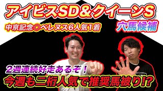 【アイビスSD＆クイーンS】先週◎ベレヌス6人気1着！見るべきは1200mの成績!?小回り適性はいらない!?穴馬候補発表！