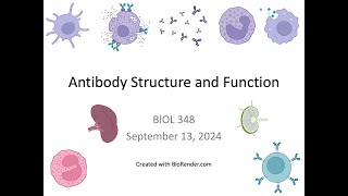 Immunology Fall 2024: Lecture 9 Antibody Structure and Function