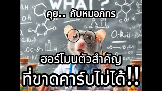 คุยกับหมอภทร ตอน ฮอร์โมนตัวสำคัญ ที่ขาดคาร์บไม่ได้!!