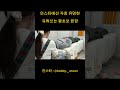 인스타에선 자칭 유명한 원장 유튜브는 왕초보