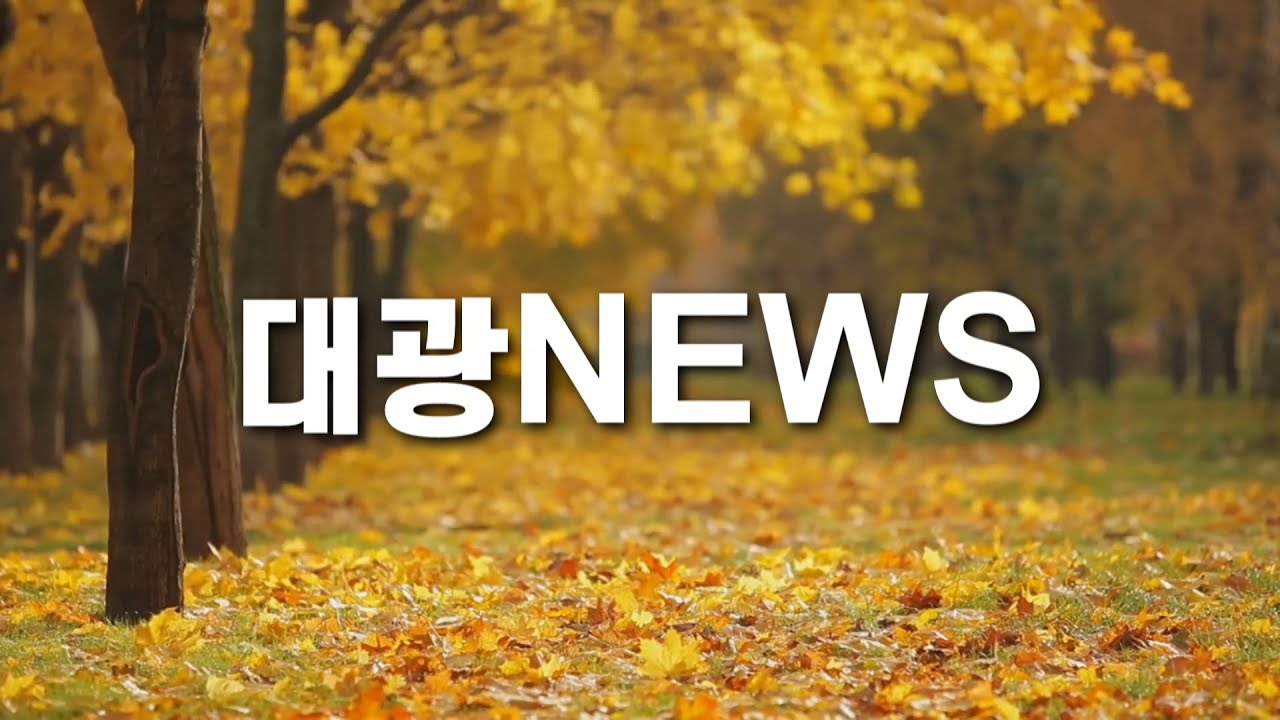 241117 Youtube